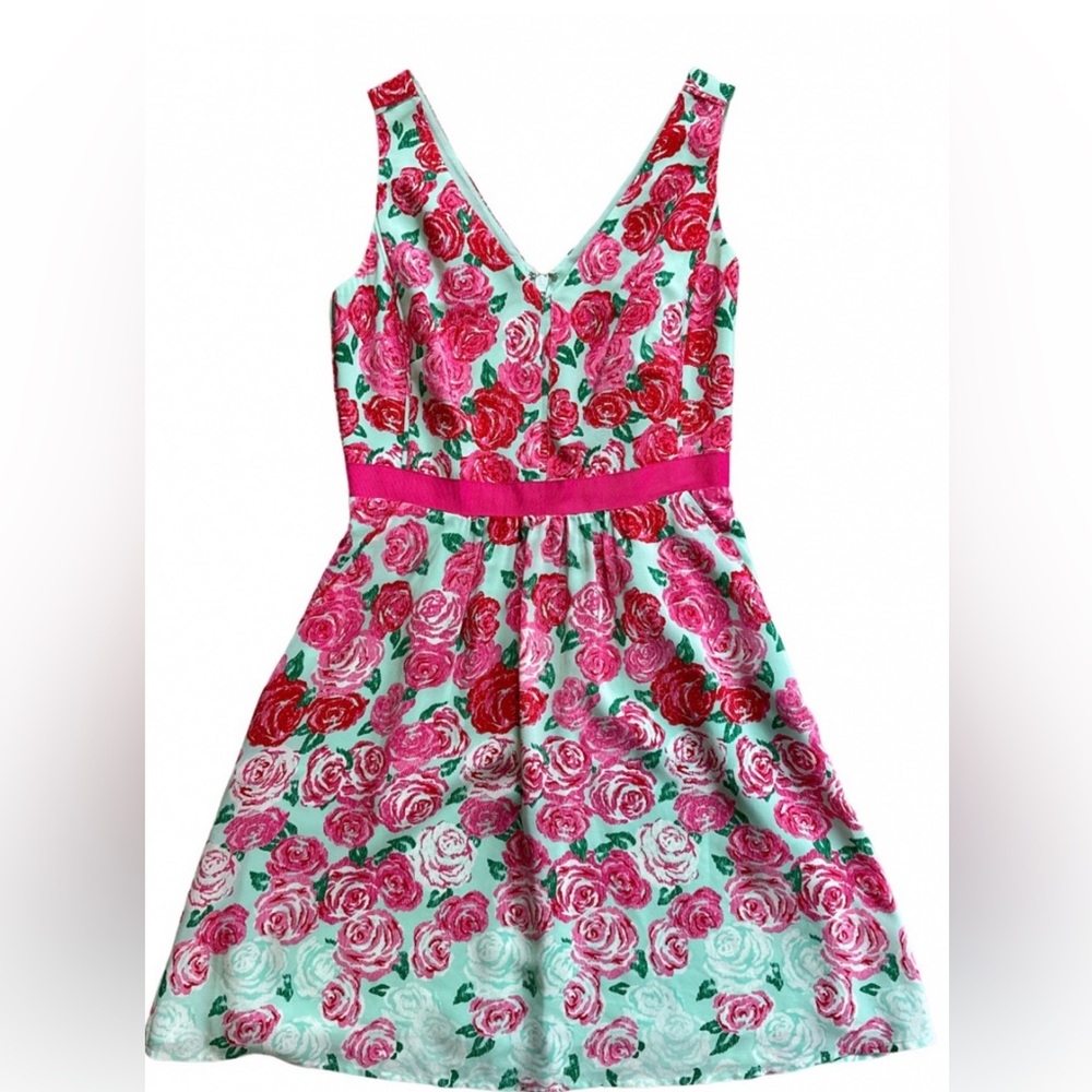 Vineyard Vines ‘Kentucky Derby’ (edition) mini dress. Size 2. No rips or flaws.